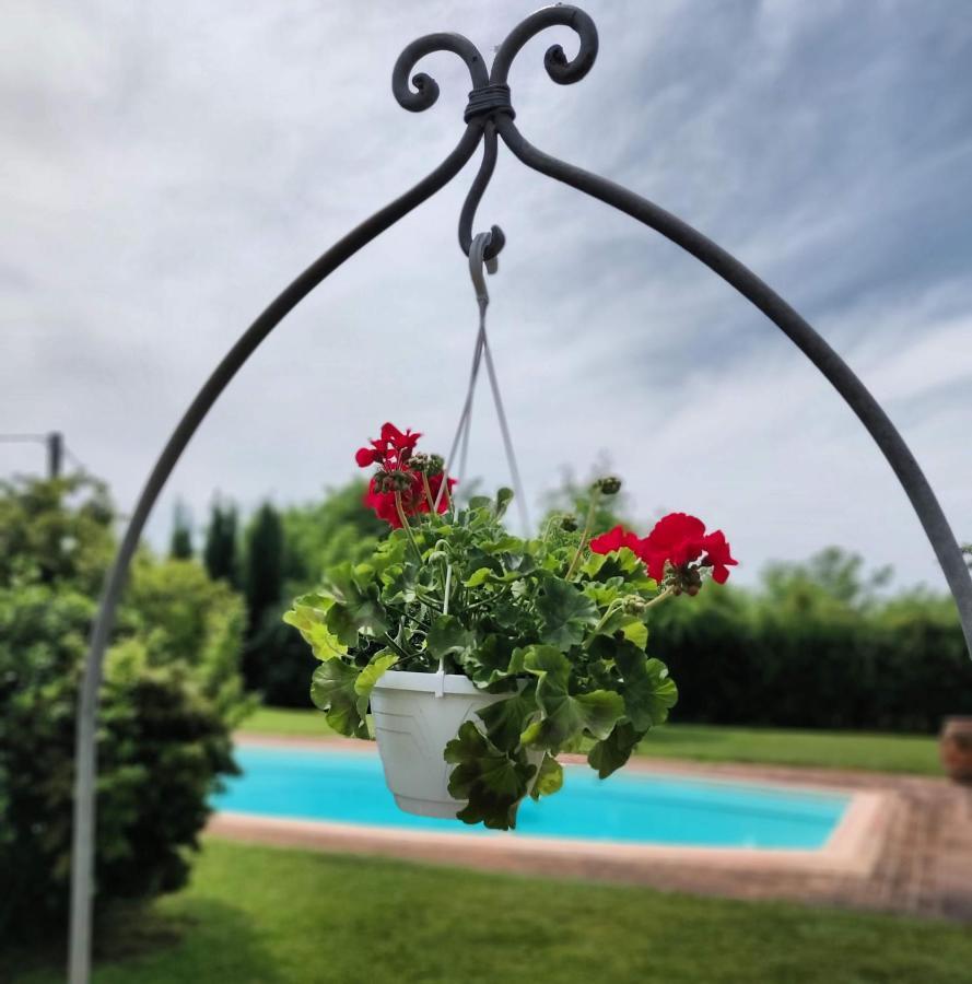 B&B Il Casolare Di Bonci Santa Maria a Monte エクステリア 写真