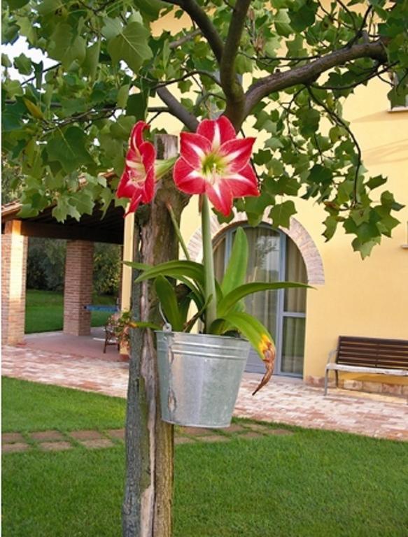B&B Il Casolare Di Bonci Santa Maria a Monte エクステリア 写真